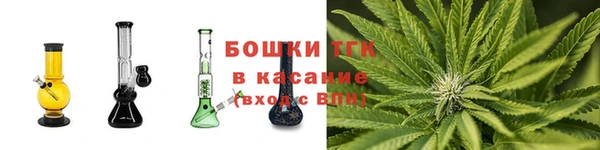 тгк Арсеньев