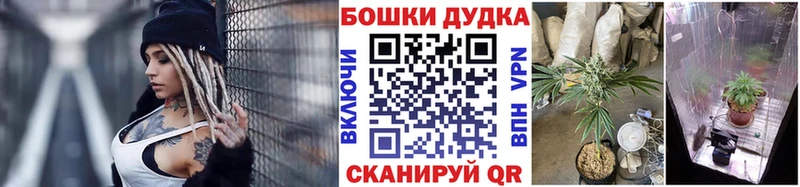 хочу   Острогожск  Марихуана план 